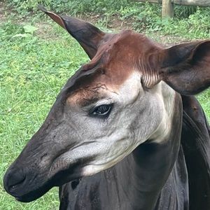 Meet your Posher, Leann